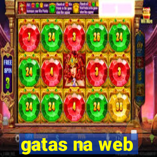 gatas na web